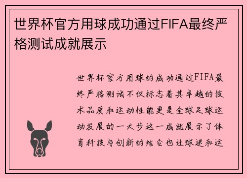 世界杯官方用球成功通过FIFA最终严格测试成就展示